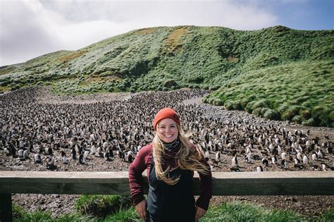 An introduction to New Zealand's subantarctic islands - Young Adventuress | Macquarie island ...