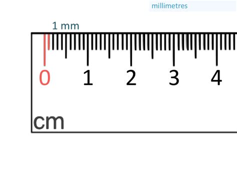 Ruler Measurement