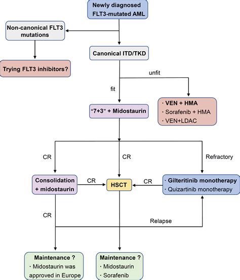 Frontiers | Developments and challenges of FLT3 inhibitors in acute myeloid leukemia