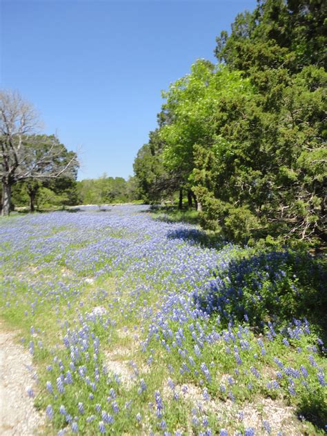 Photo Blog: In and Around Meridian State Park, Texas – Rika Confesses