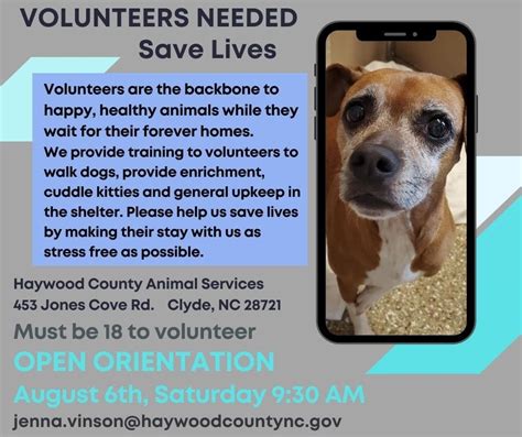 Volunteers Needed! - Friends of Haywood County Animal Shelter