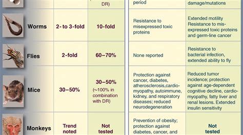 Caloric restriction increases healthy lifespan in humans | Kialo