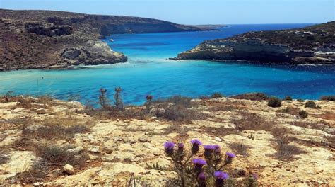 10 TOP Things to Do in Lampedusa August 2024 | Expedia