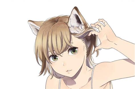 Kemonomimi with human ears aren’t real kemonomimi, change my mind. [Original] : r/kemonomimi