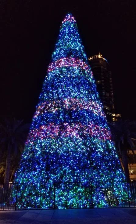 Eola Wonderland Christmas Tree Show | Orlando christmas, Things to do orlando, Christmas tree ...