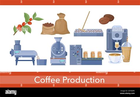 Coffee production set, cartoon process of picking harvesting, drying ...