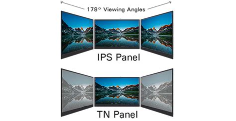 TN Panel vs IPS panel: LCD panel Type Comparison