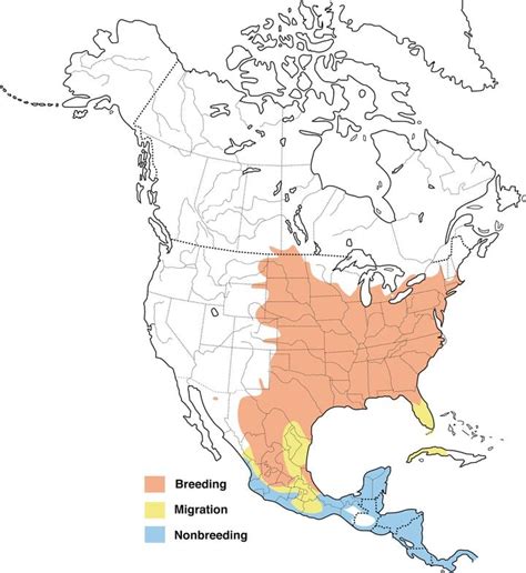 Baltimore Oriole Migration Map 2017