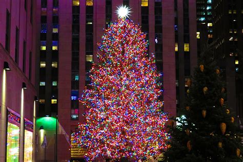 The Rockefeller Center Christmas tree has arrived in NYC to kick off the festive season - Lonely ...