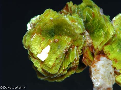 Autunite mineral information and data