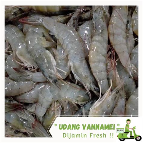 Jual Udang Vannamei 100 gram | Shopee Indonesia