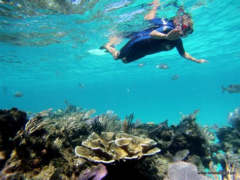 Fowl Cay Snorkeling - svIslandSpirit.com