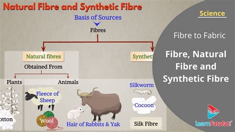 Fibre to Fabric Class 6 Science Chapter 3 - Fibre, Natural Fibre and Synthetic Fibre - YouTube