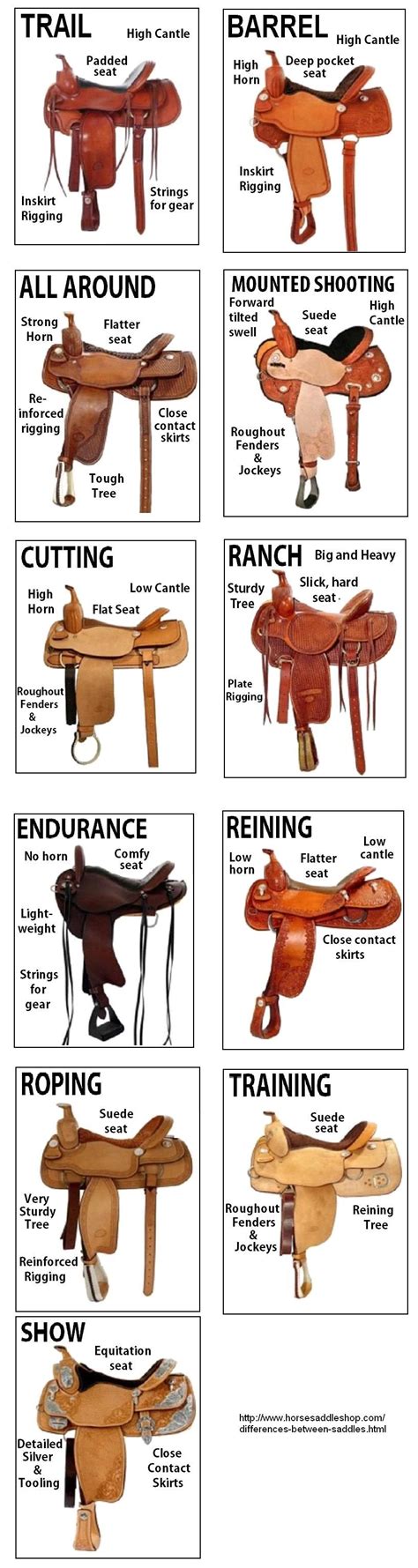 western saddle comparisons | Horse facts, Horse saddles, Horse tack