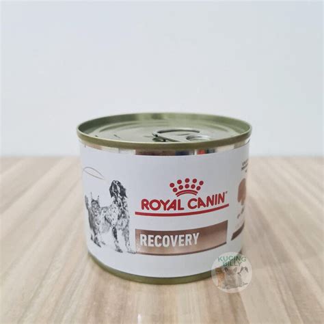 Royal Canin Recovery Canine & Feline 195g x 12 cans | Lazada