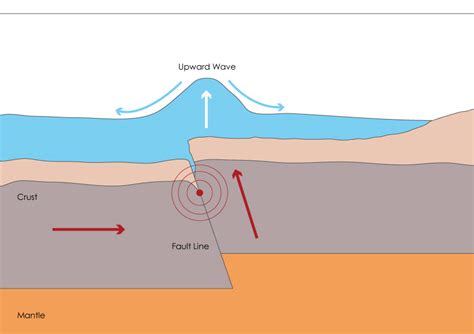 A Diagram Of A Tsunami