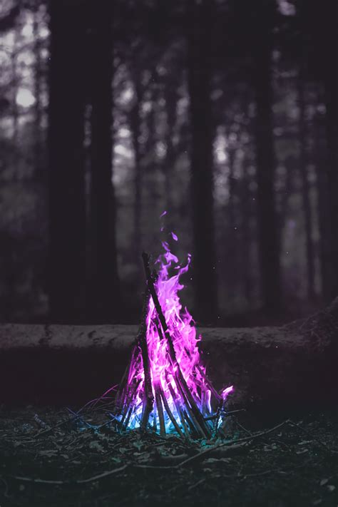 Wallpaper : forest, fire, magic, dark 1400x2100 - 85473 - 2010301 - HD Wallpapers - WallHere