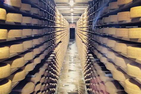 How Swiss Cheese is Made | The WANDERLUSTers