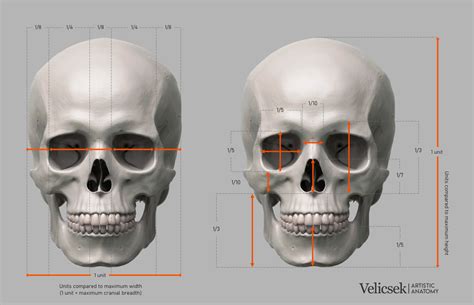 3D model community • 3D modeling forum • 3D printing forum - 3D Coat