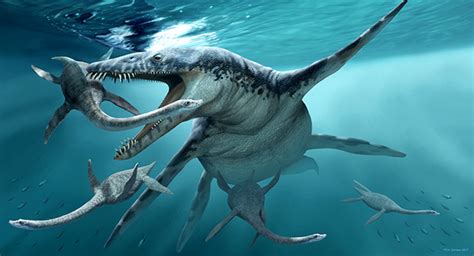 All About Prehistoric Marine Reptiles: The Monsters of the Sea – Gage ...