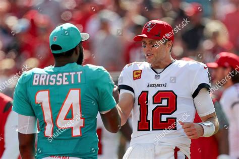 MIAMI DOLPHINS QUARTERBACK JACOBY BRISSETT 14 Editorial Stock Photo ...