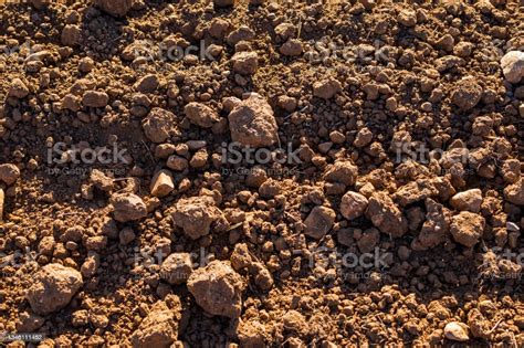 Garden Soil Texture Background Humus Soil Stock Photo - Download Image Now - Clay, Garden, Yard ...