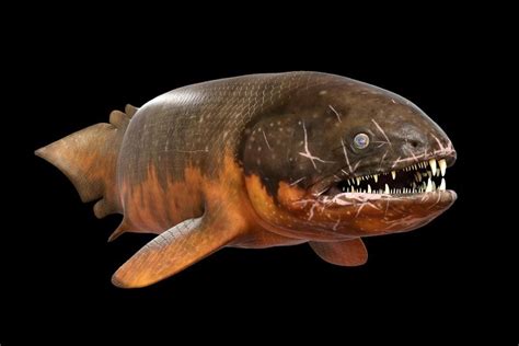 Image result for Rhizodus | Prehistoric animals, River monsters, Animals