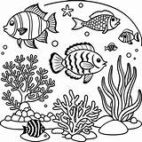 aquarium coloring Pages For kids 47024569 Vector Art At Vecteezy sketch template