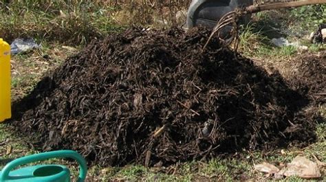 A Lazy Gardener Compost Heap - Midwest Gardening