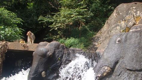 KALHATTI FALLS - CHIKMAGALUR Reviews, Information, Tourist Destinations ...