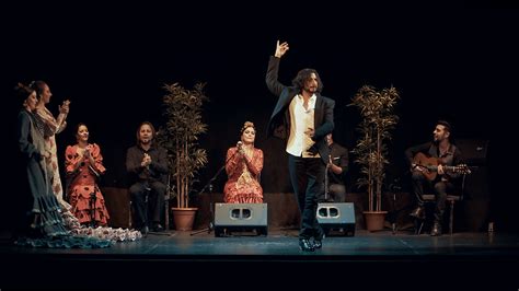 Flamenco Show | www.flamencobarcelonacityhall.com | Barcelona