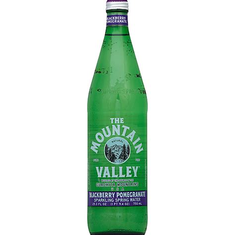 Mountain Valley Sparkling Water 25.3 oz | Flavored | Foodtown