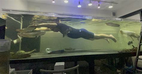 Man In Japan Has 3m-Long Aquarium In His House That He Swims In — Yes ...