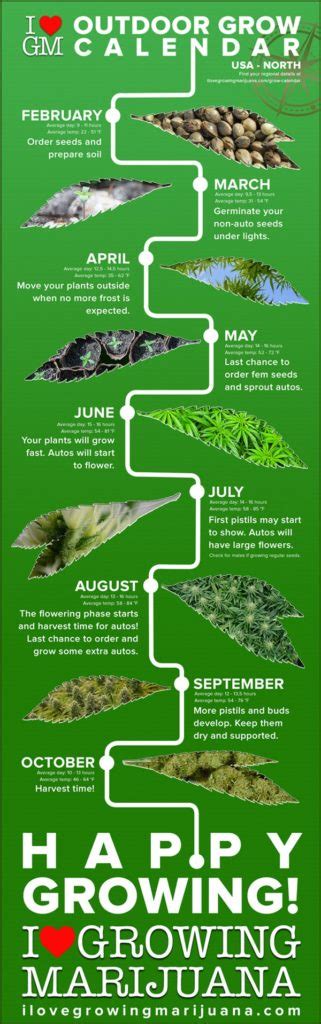 Outdoor Growing Calendar for Marijuana Plants | ILGM