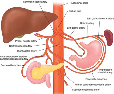 본3 PK) NCCN 2021 Pancreas cancer : 네이버 블로그