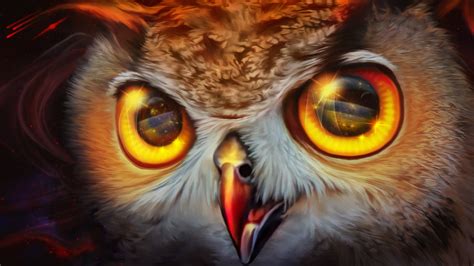 4K, Owls, Eyes, Painting Art, Closeup, Beak, Glance, HD Wallpaper ...