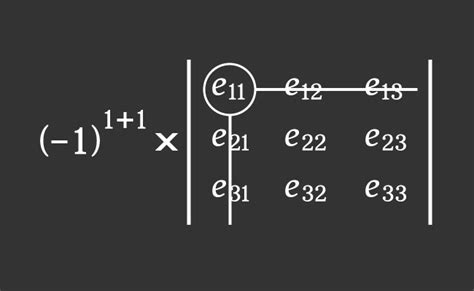 How to find the Cofactors of a 3×3 Matrix in Algebraic form