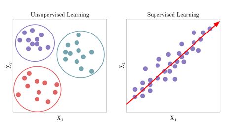 A Brief Introduction to Unsupervised Learning | by Aidan Wilson | Towards Data Science