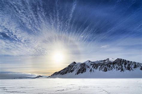 As Climate Change Reshapes the Antarctic, These Animals Might Fall First | NOVA | PBS