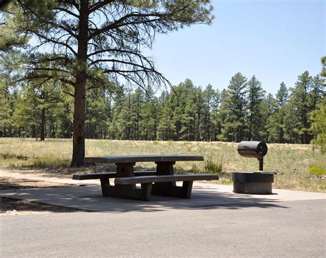 AZ Camp Guide | Pine Grove Campground