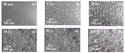 Microscopic images of liquid foam at different time scale: the ...