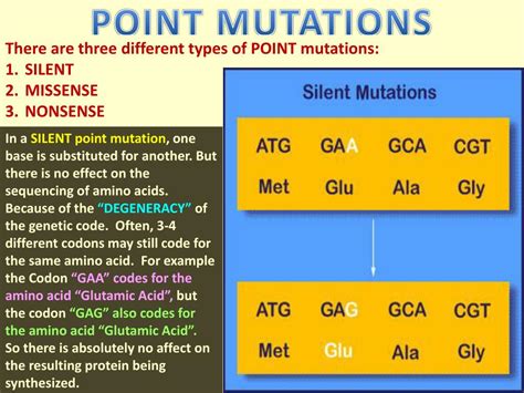 PPT - GENE MUTATIONS PowerPoint Presentation, free download - ID:2016394