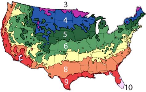 Find your USDA Hardiness Zone w/ ZIP Code | Cold hardy palm trees, Plant hardiness zone, Plant ...