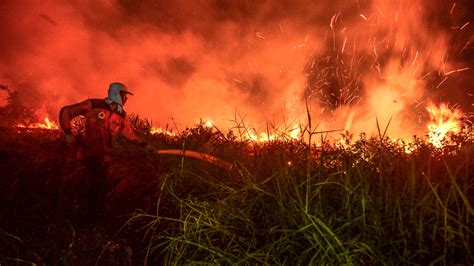 Indonesia's fires are bad, but new measures prevented them from ...