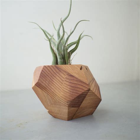 Geometric Reclaimed Wood Air Plant Holder + Plant | Air plant holder, Air plants, Wood planters