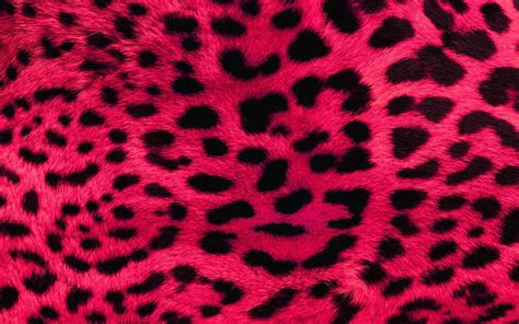 Top 999+ Leopard Print Wallpaper Full HD, 4K Free to Use