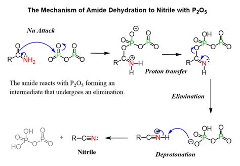 The Mechanism of Amide Dehydration to Nitrile with P2O5 | Organic chemistry, Chemistry lessons ...