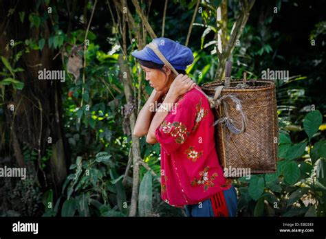 A woman carrying a rattan basket as she is walking on the side of a road in Kapuas Hulu, West ...