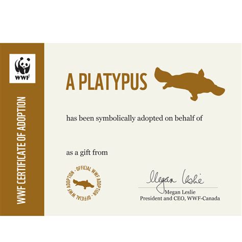 Adopt a Platypus | Plush & Certificate Gift Kits