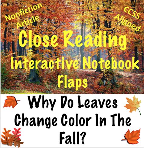 Autumn Leaf Experiment-Why Do Leaves Change Color in the Fall? | Fall ...